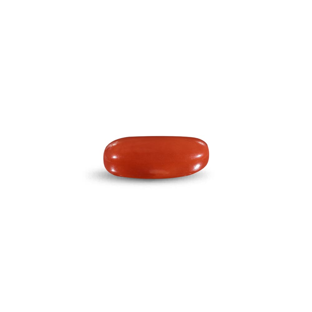 Red Coral -11.41 Carat