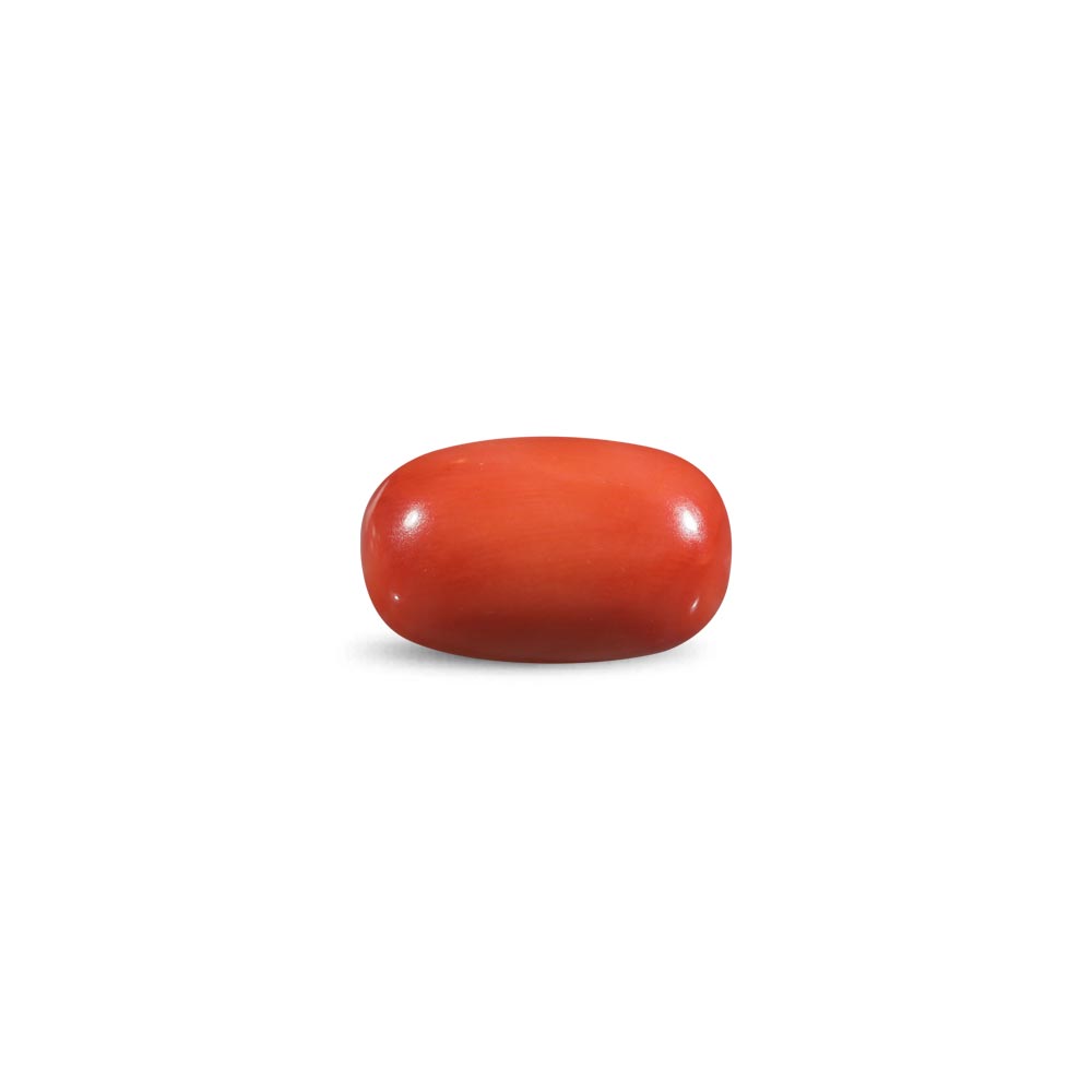 Red Coral -11.57 Carat