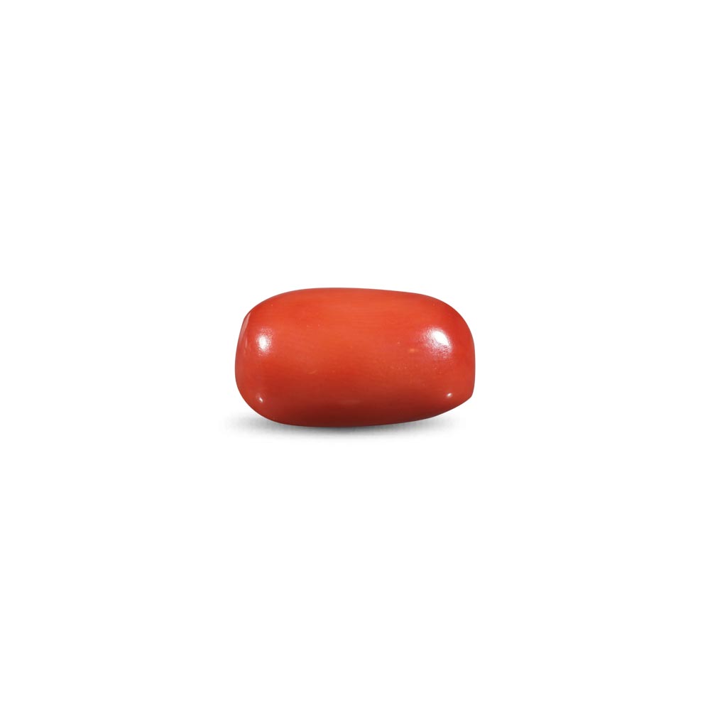 Red Coral -11.57 Carat