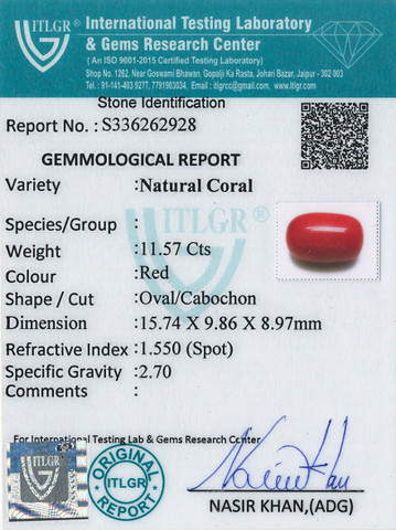 Red Coral -11.57 Carat