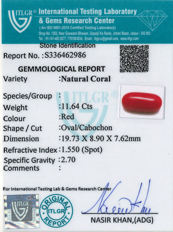 Red Coral -11.64 Carat
