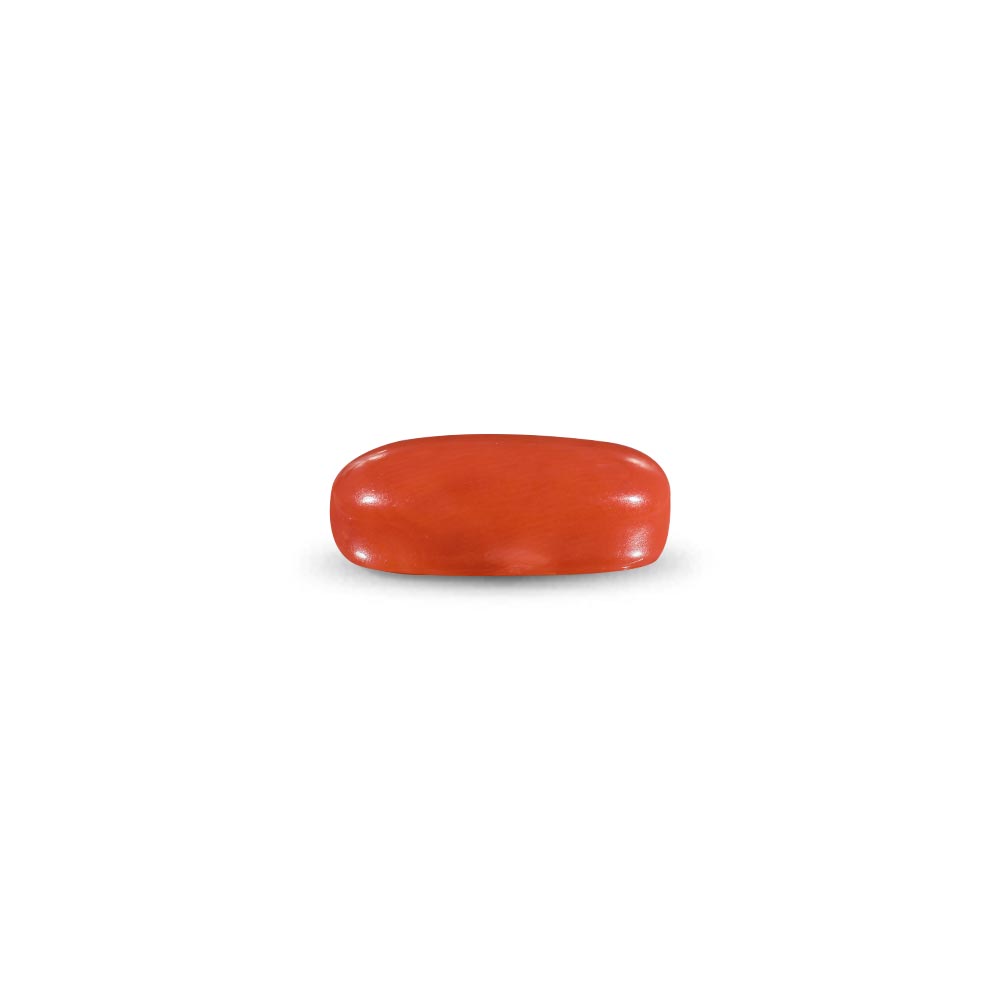 Red Coral -11.64 Carat