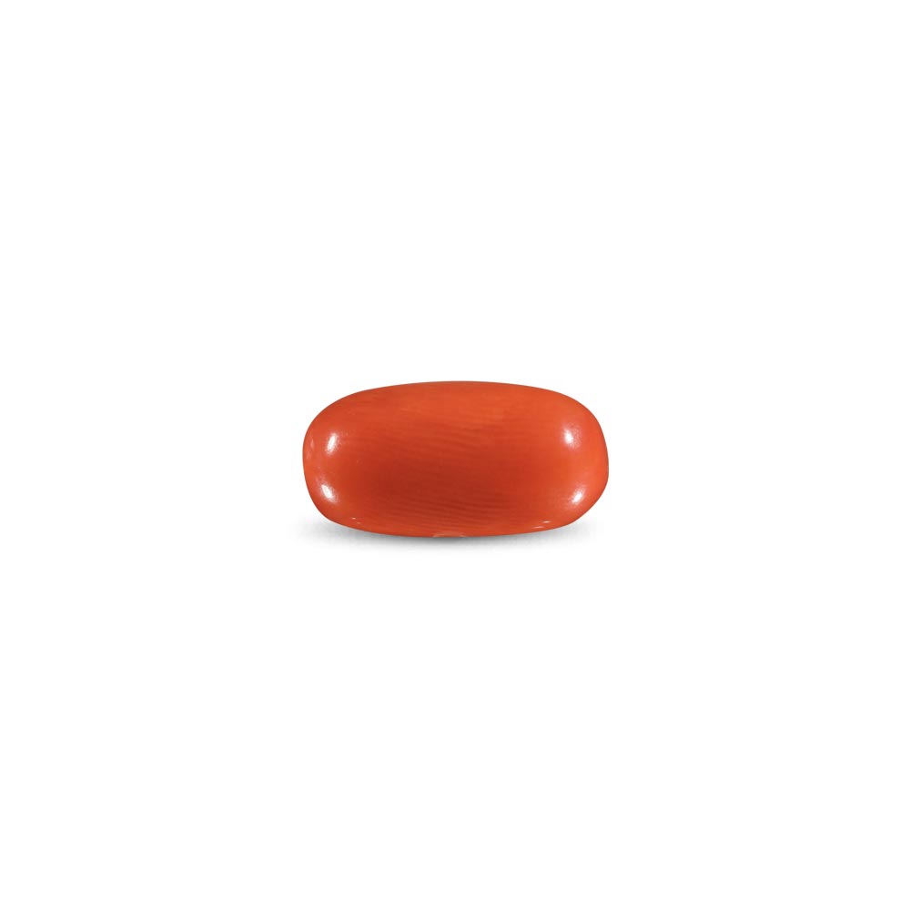 Red Coral -11.72 Carat