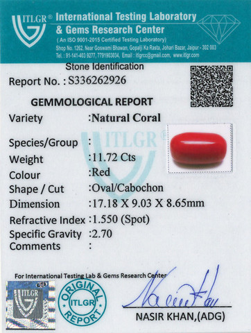Red Coral -11.72 Carat