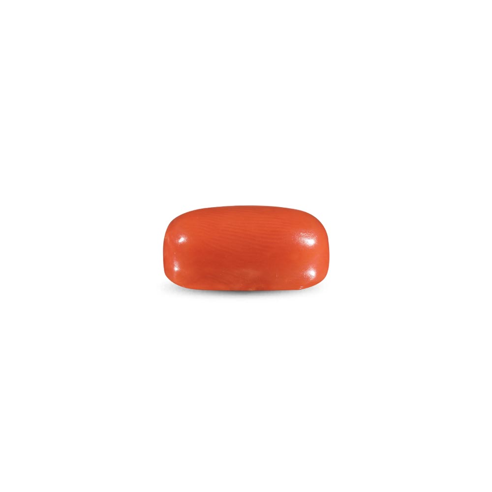 Red Coral -11.72 Carat