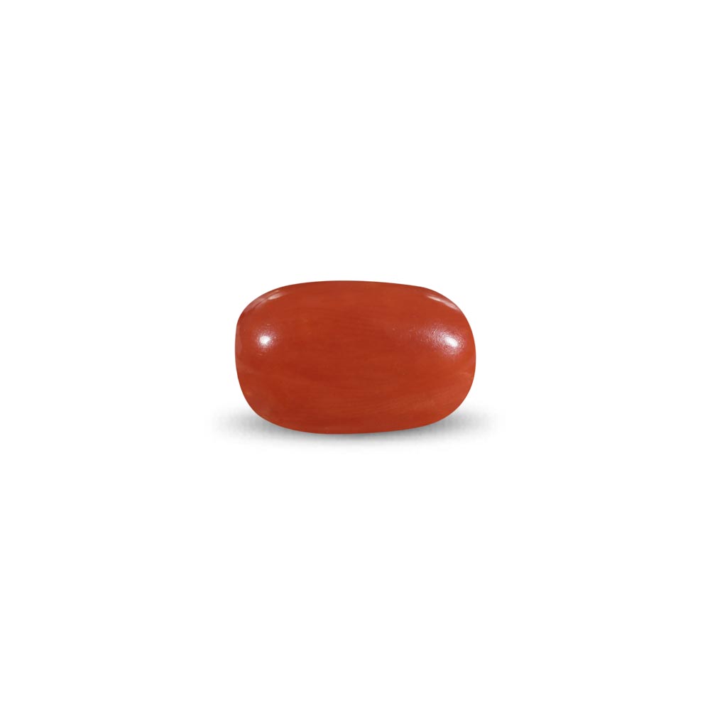Red Coral -12.1 Carat