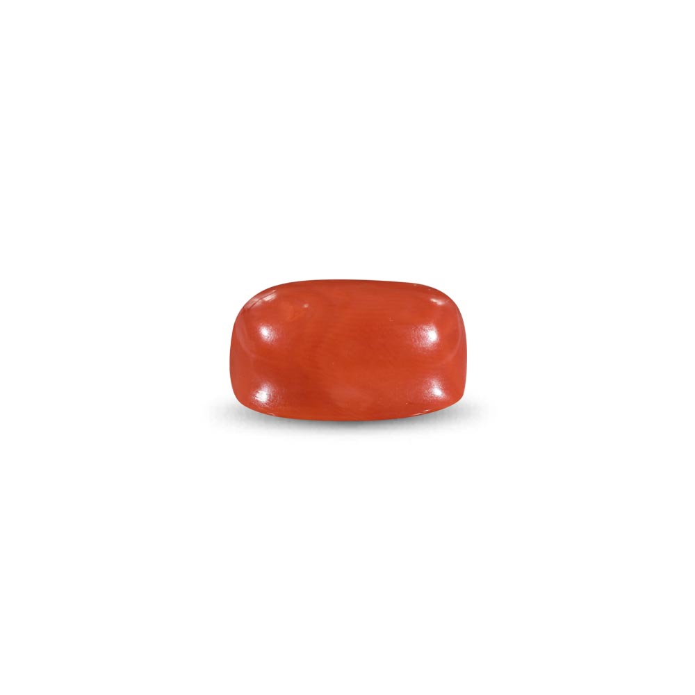 Red Coral -12.4 Carat