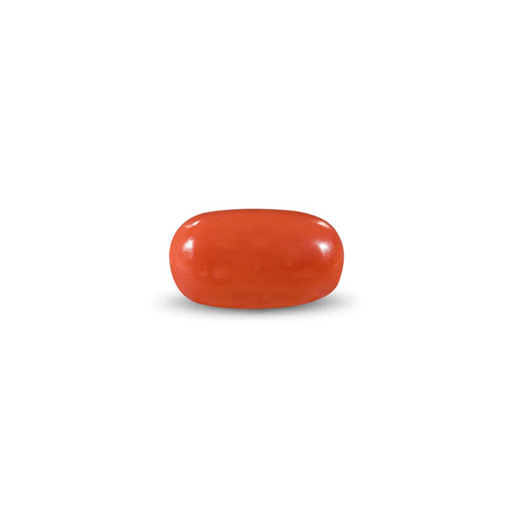 Red Coral -12.95 Carat