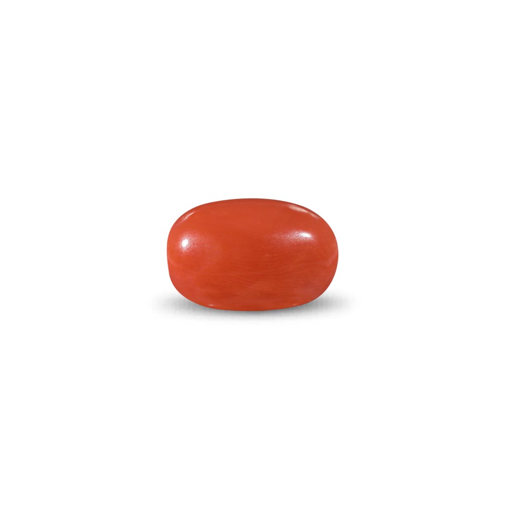 Red Coral -13.63 Carat