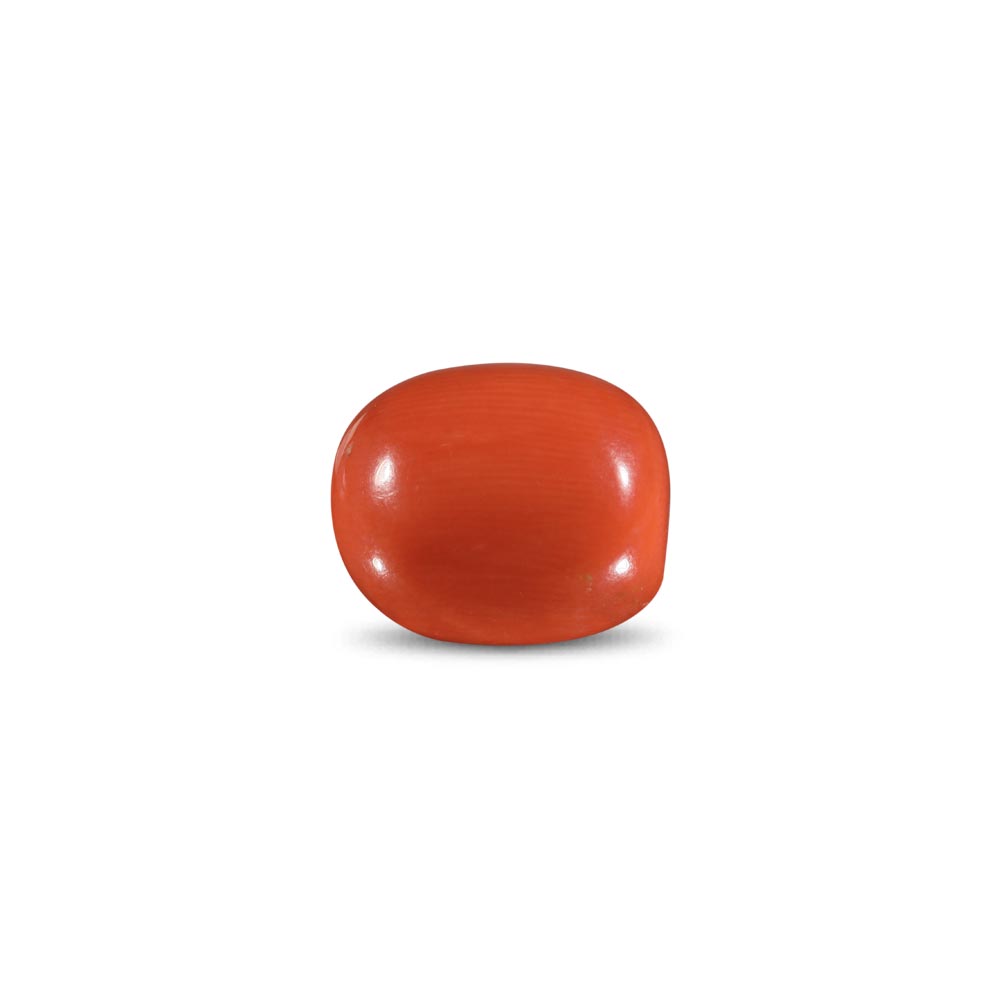Red Coral -13.79 Carat