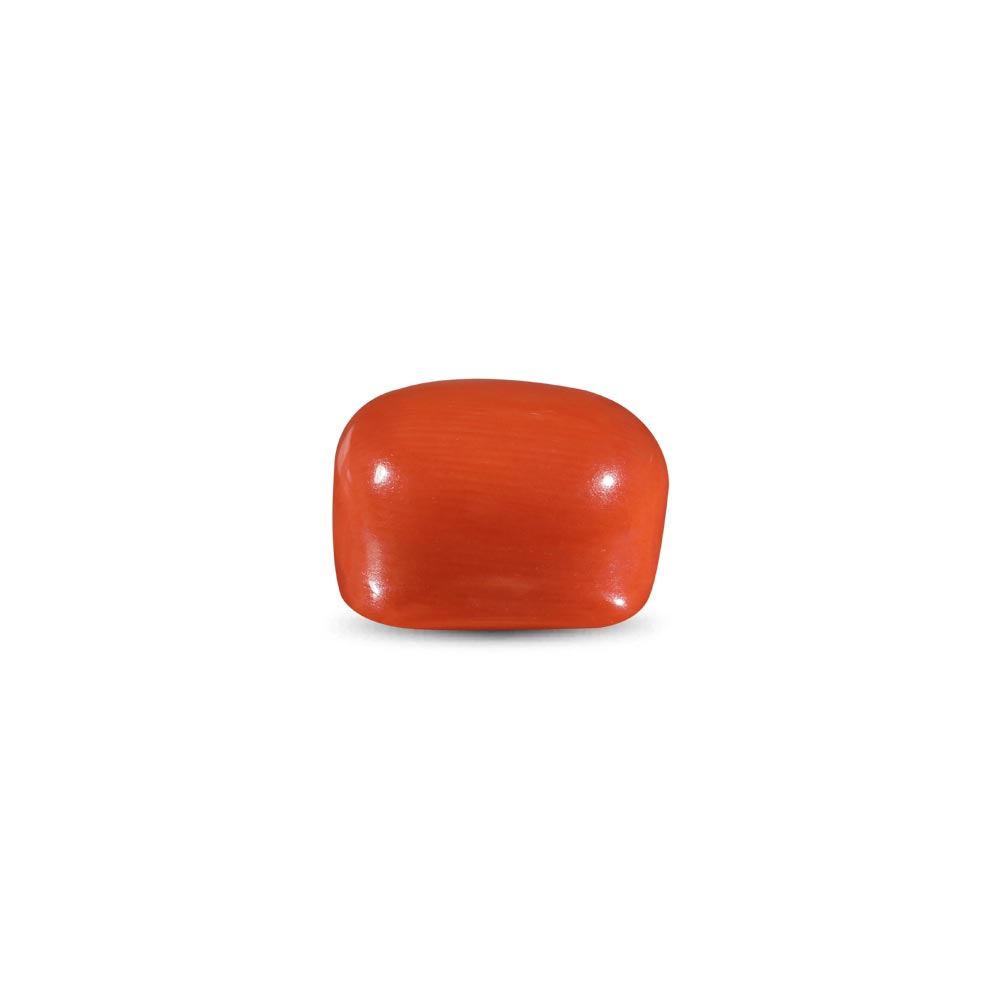 Red Coral -13.79 Carat