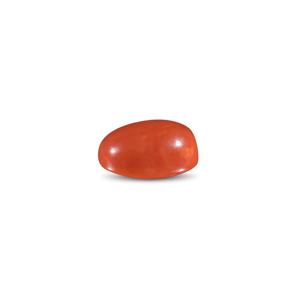 Red Coral -14.03 Carat