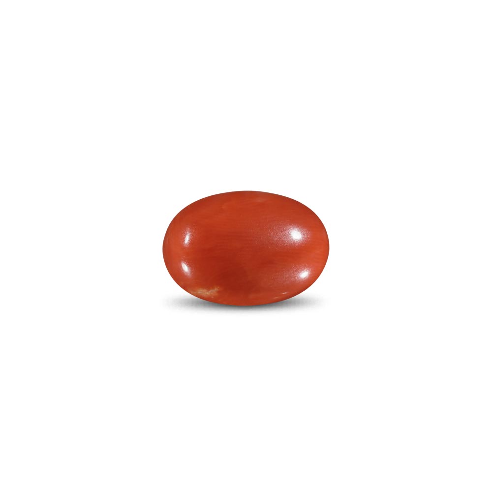 Red Coral -14.03 Carat