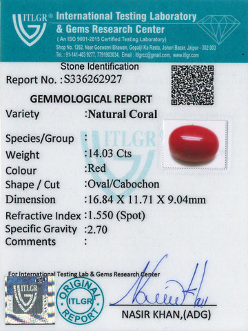 Red Coral -14.03 Carat