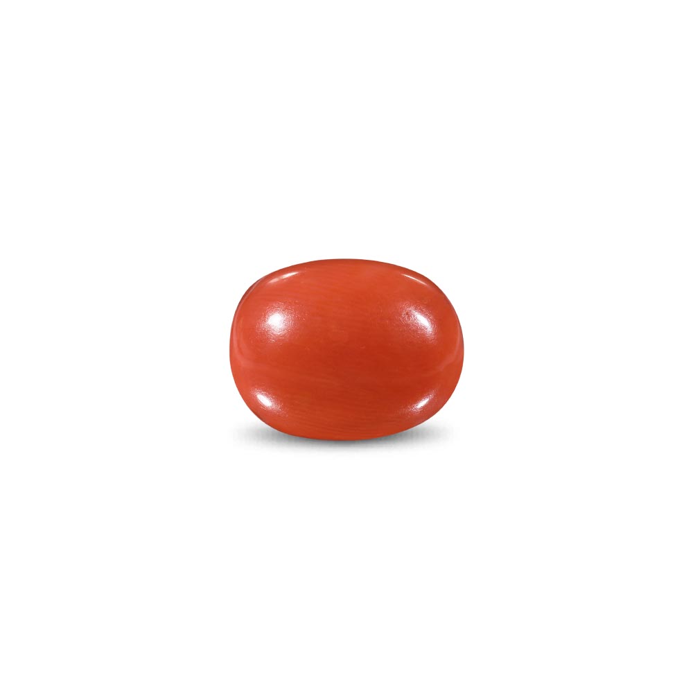 Red Coral -15.05 Carat