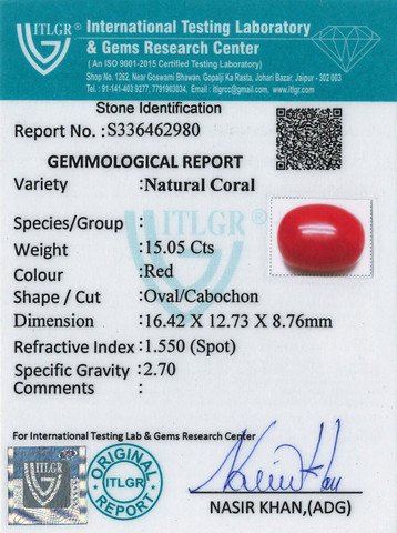 Red Coral -15.05 Carat
