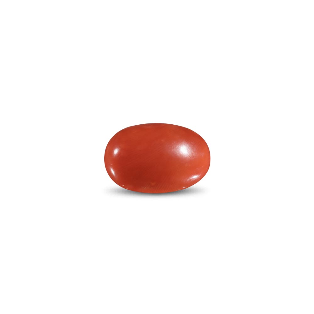 Red Coral -15.66 Carat