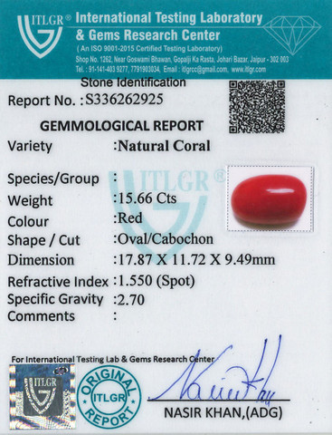 Red Coral -15.66 Carat