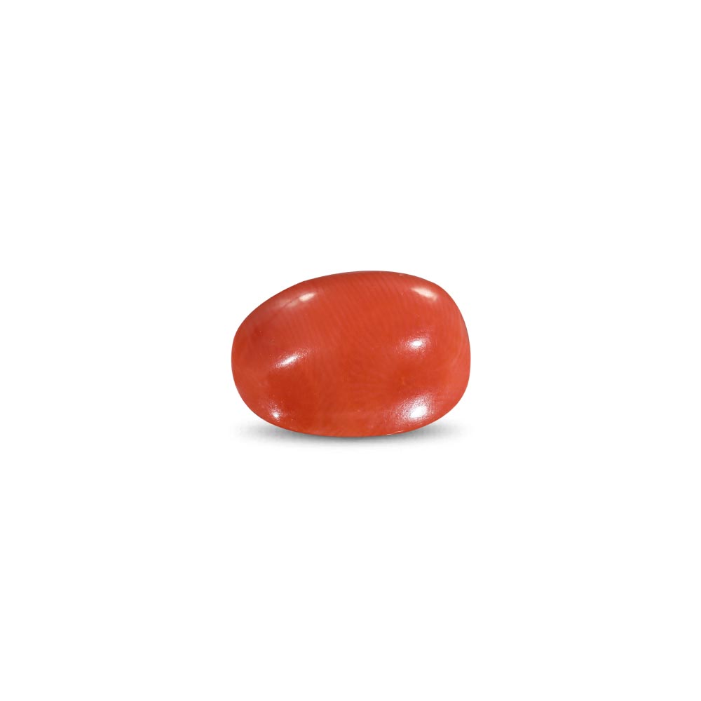 Red Coral -7.86 Carat