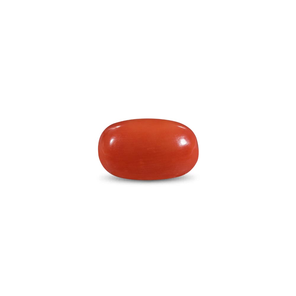 Red Coral -8.01 Carat