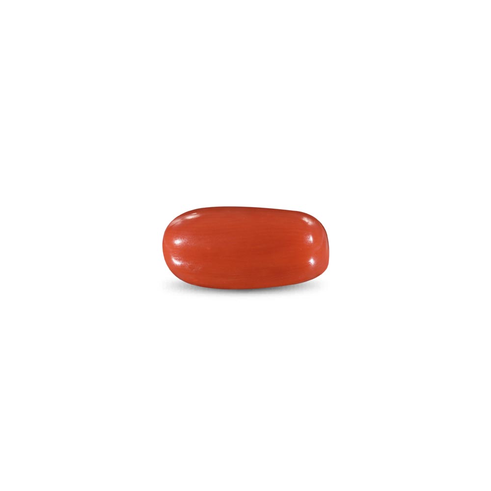 Red Coral -8.45 Carat