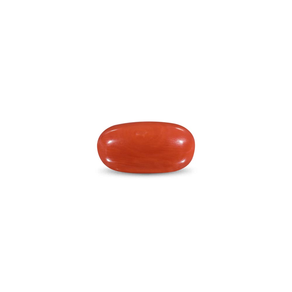 Red Coral -8.77 Carat