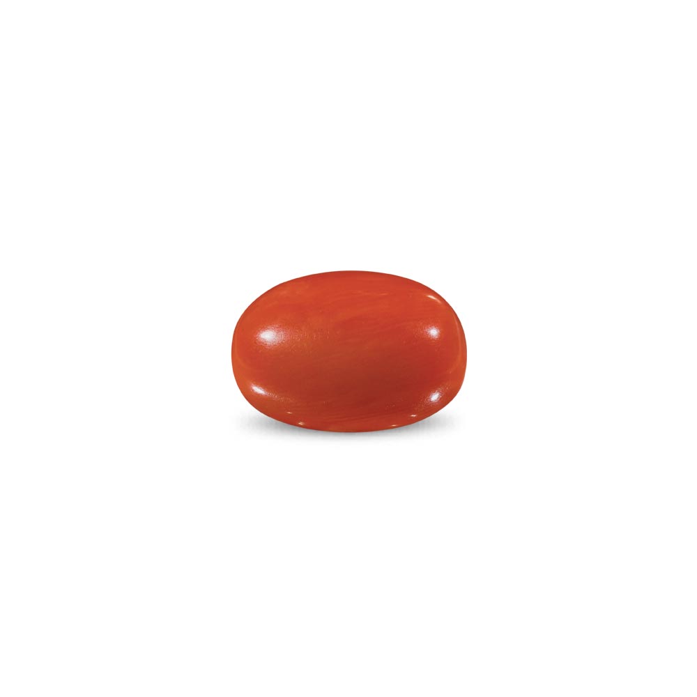 Red Coral -9.03 Carat