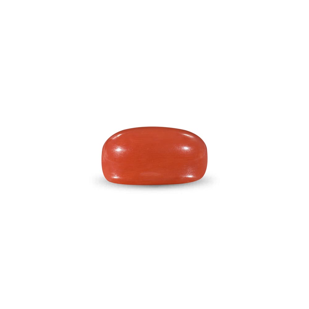 Red Coral -9.07 Carat