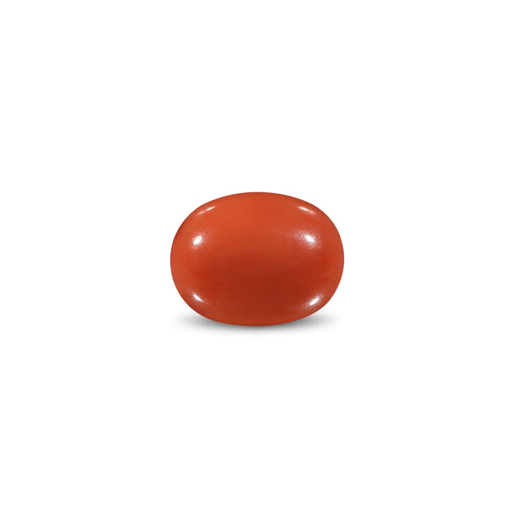 Red Coral -9.11 Carat