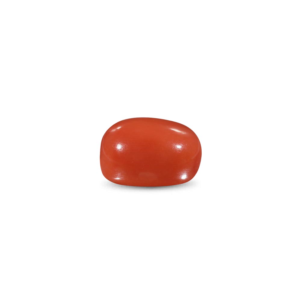 Red Coral -9.11 Carat