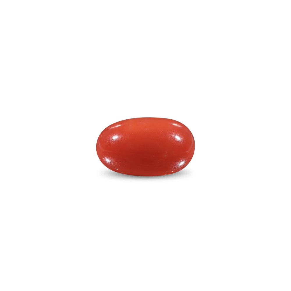 Red Coral -9.12 Carat