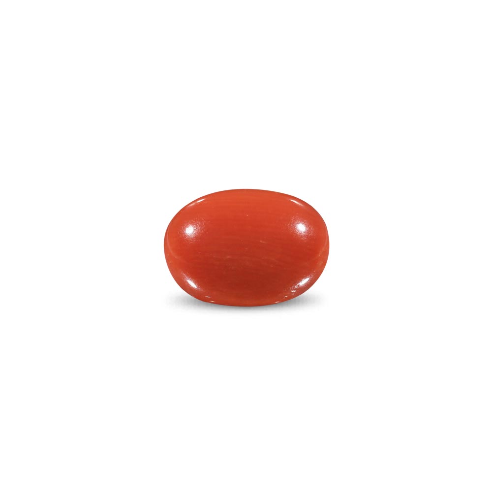 Red Coral -9.12 Carat