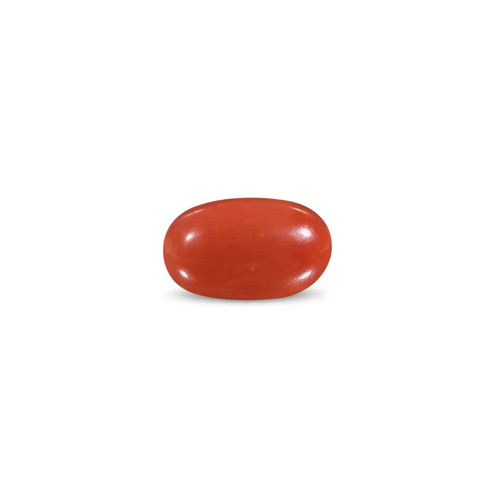 Red Coral -9.14 Carat