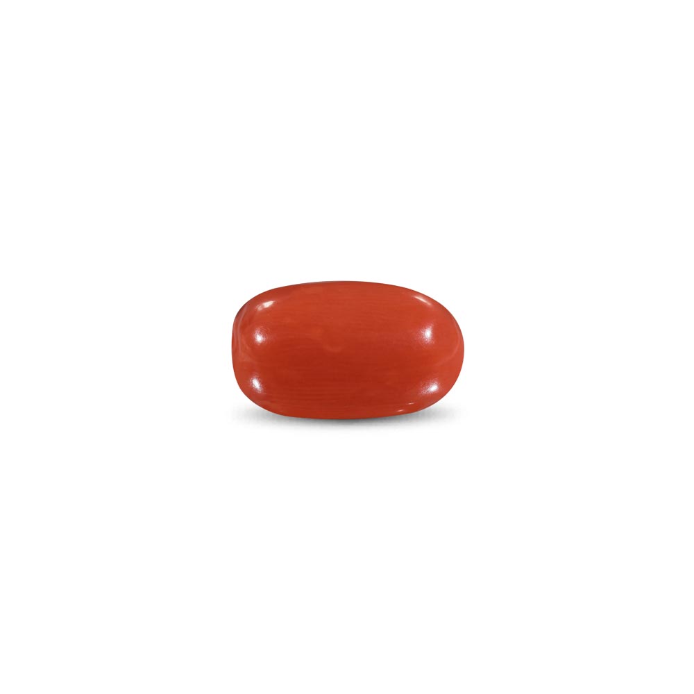 Red Coral -9.15 Carat