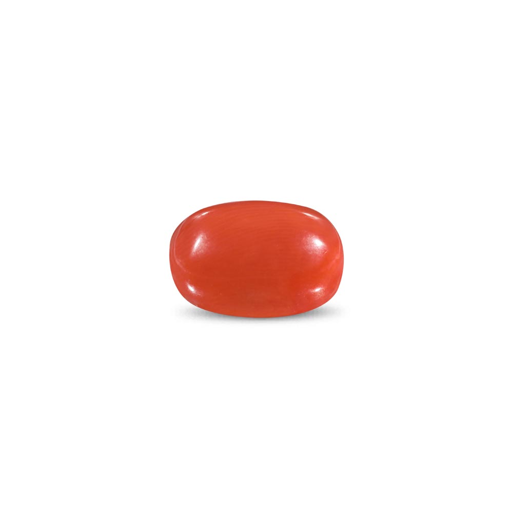 Red Coral -9.19 Carat
