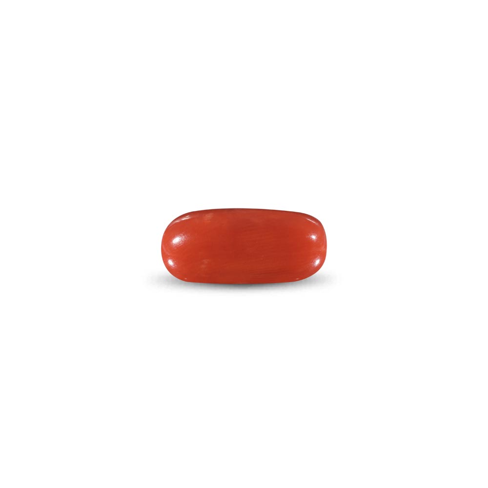 Red Coral -9.23 Carat