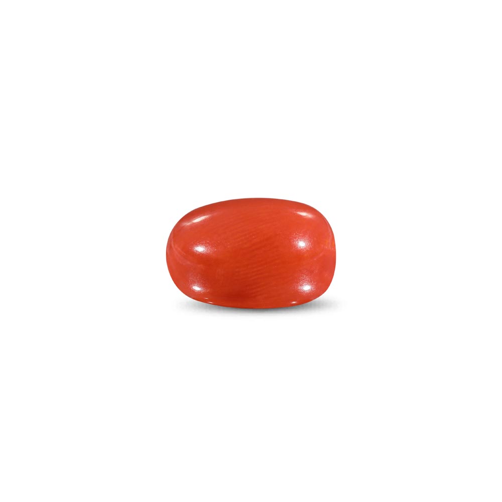 Red Coral -9.28 Carat