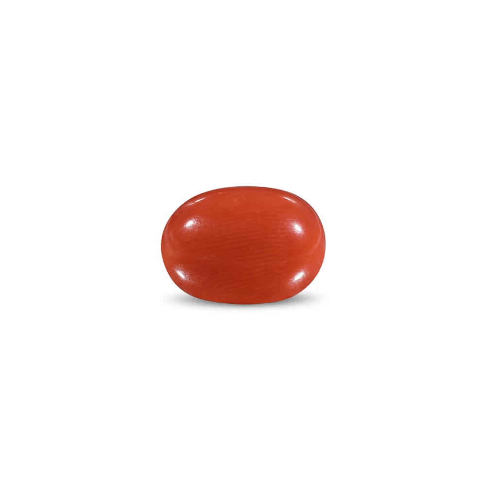 Red Coral -9.28 Carat