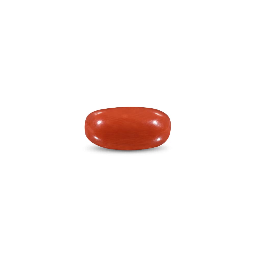 Red Coral -9.31 Carat