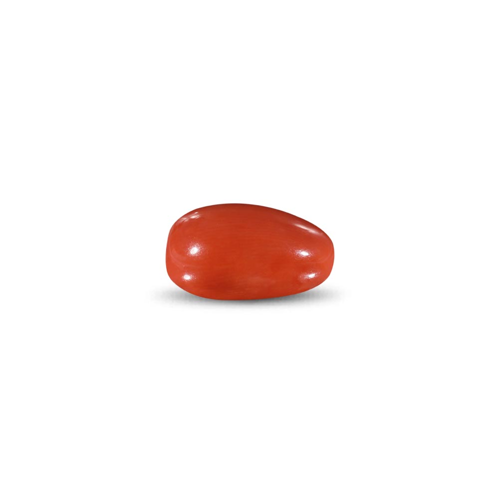 Red Coral -9.49 Carat