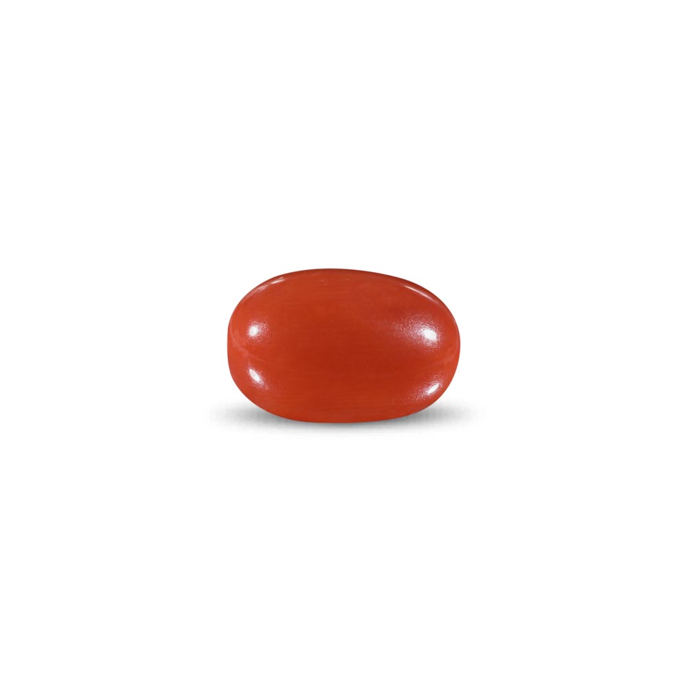 Red Coral -9.49 Carat
