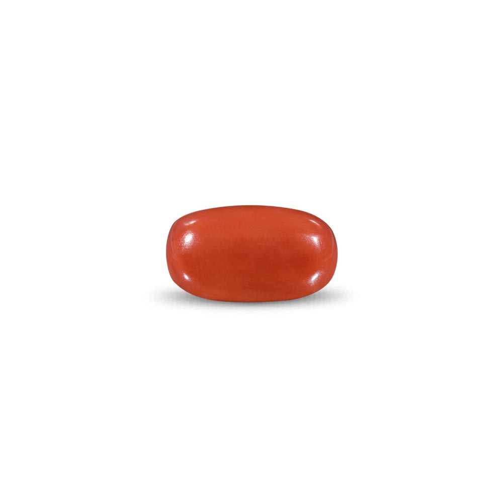 Red Coral -9.5 Carat