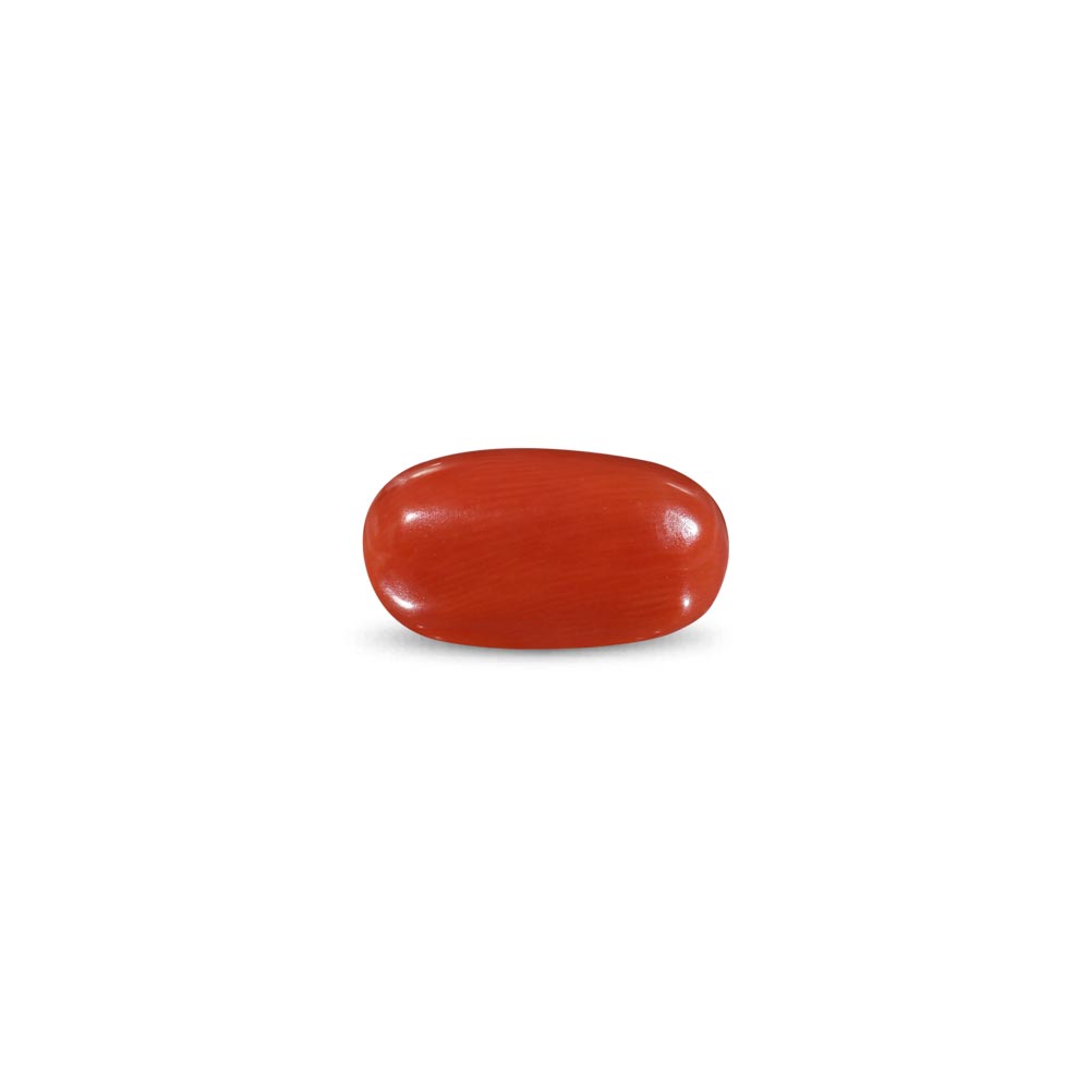 Red Coral -9.58 Carat