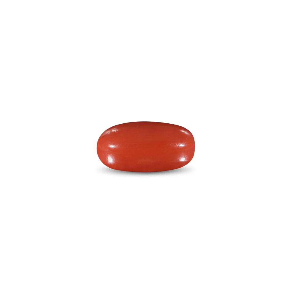 Red Coral -9.74 Carat