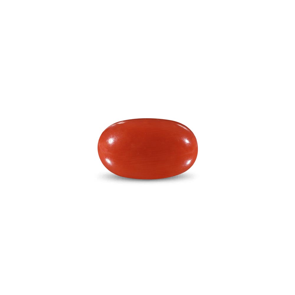 Red Coral -9.74 Carat