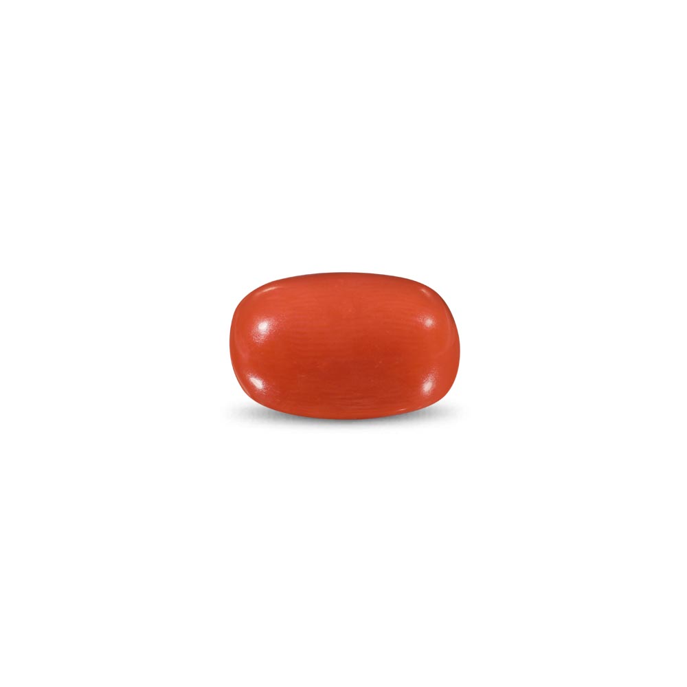 Red Coral -9.77 Carat