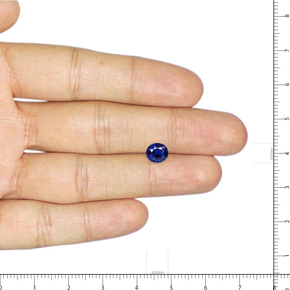 Royal Blue Sapphire - 1.10 Carat