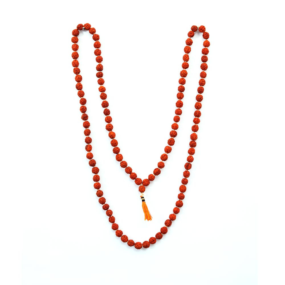 Rudraksha - 25.29 Carat