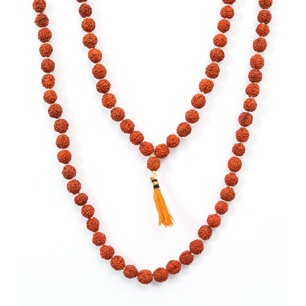 Rudraksha - 25.29 Carat