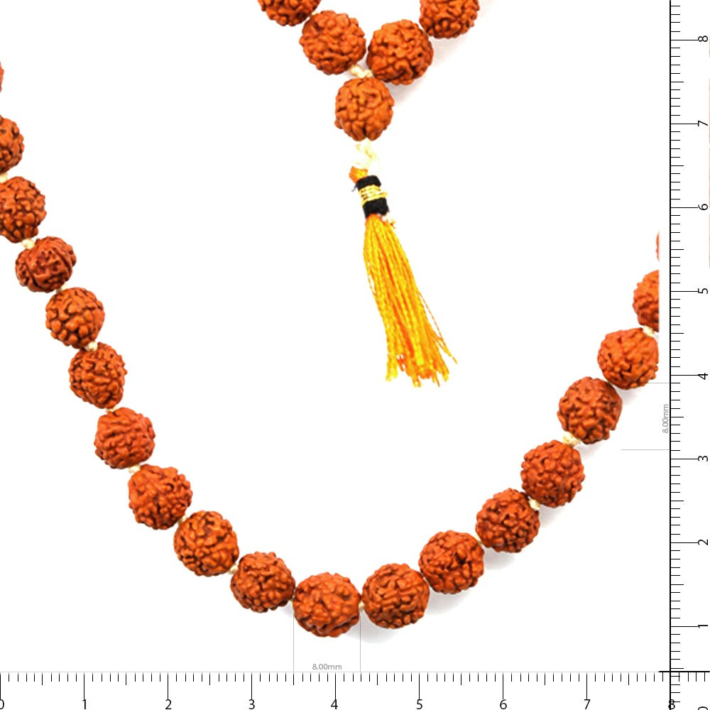 Rudraksha - 25.29 Carat